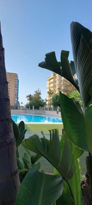 Elegante Alojamiento Con Piscina A 200 M Del Mar. Apartment Benalmadena Exterior photo